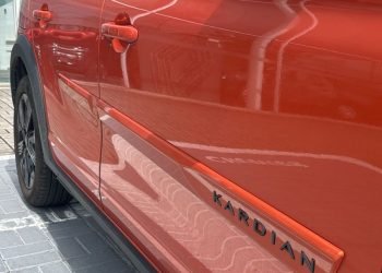 717094915 Friso Kardian Laranja Energy