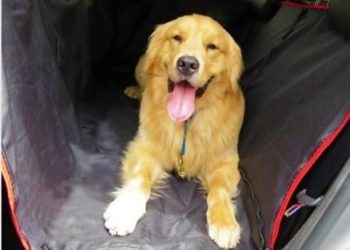 Tapete para Transporte de Pet
